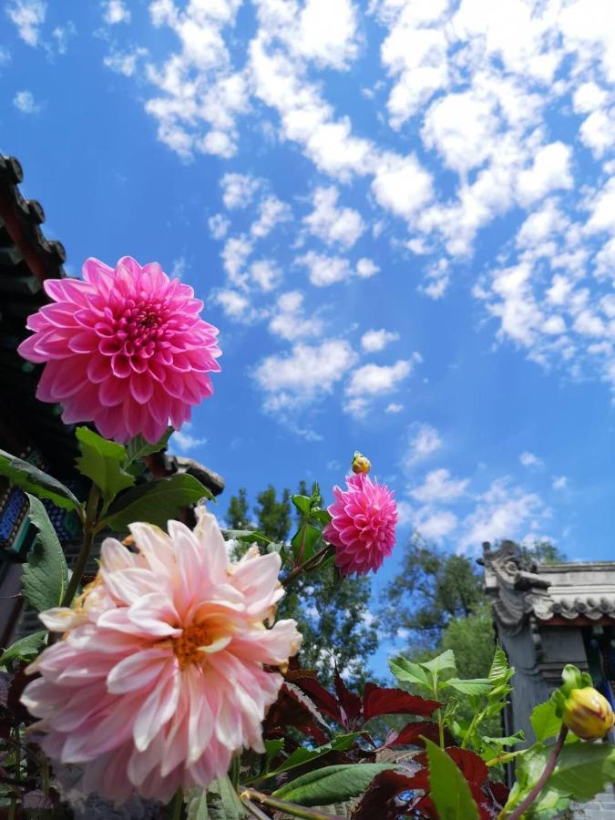 Chengde Kai Ren Hua Fu Inn Bi Shu Shan Zhuang Dian Zewnętrze zdjęcie